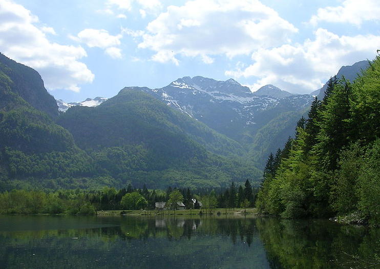 amateurs in slovenia Amateurs in slovenia